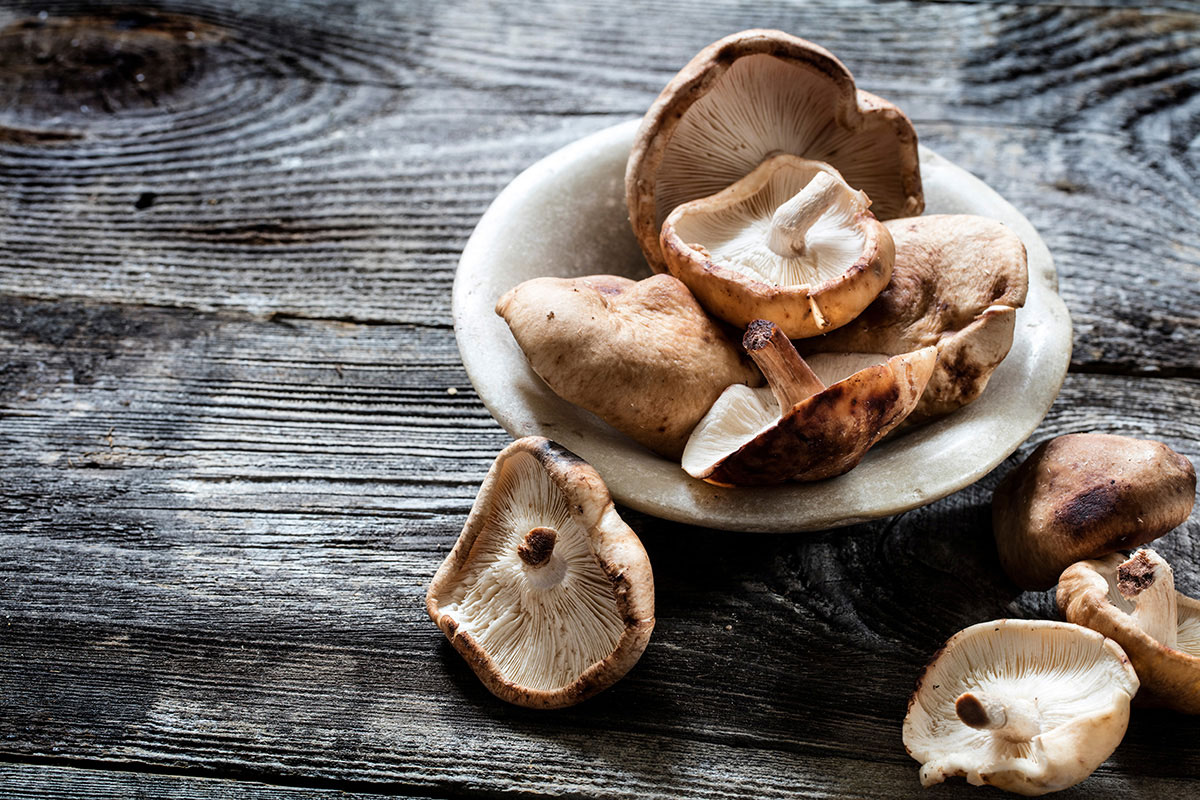 Descobreix per què els bolets són una delícia gastronòmica!