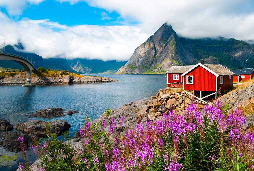 El secreto del sabor del salmón de Noruega se encuentra en la forma en la que se cría. 