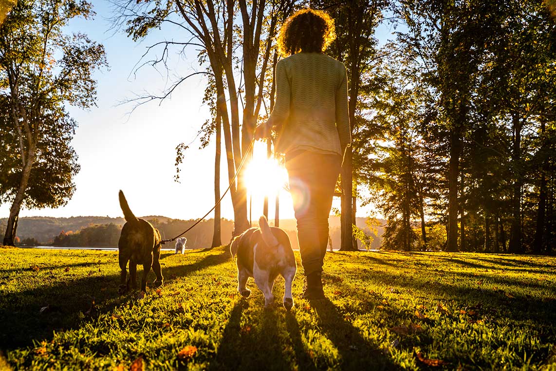 Realiza paseos en familia o practica tu deporte favorito.